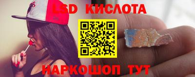 прущие грибы Белореченск