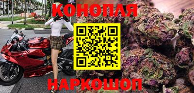 прущие грибы Белореченск