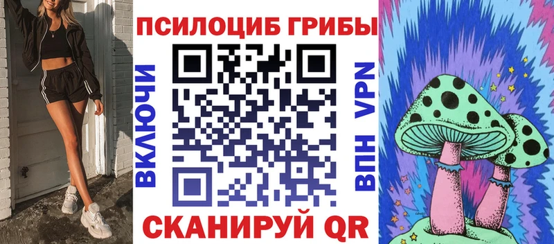 купить закладку  Махачкала  Псилоцибиновые грибы Psilocybine cubensis 