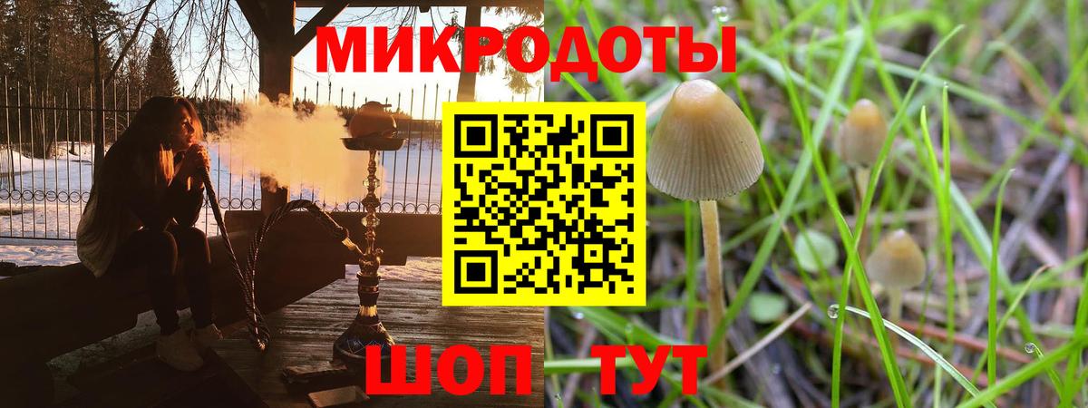 Галлюциногенные грибы Cubensis Махачкала