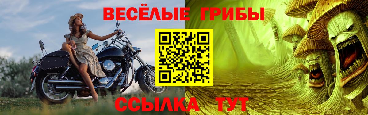 закладки  Галлюциногенные грибы Magic Shrooms  Вход с VPN  Махачкала 